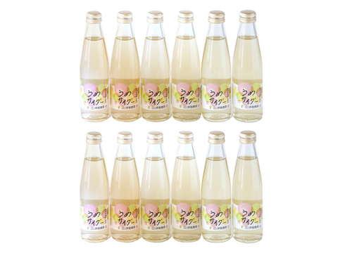 【アウトレット特別価格 30％OFF】和歌山フルーツサイダー(うめ)　12本セット　n14013-12