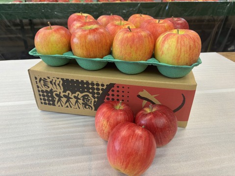 おやつ感覚で！？そのままパクっと！甘くてジューシー！長野県シナノスイート小玉2.8㎏