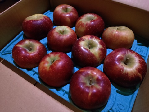 【家庭用】秋映 約2.5kg 7‐14玉 シャキッと歯ごたえ！信州りんご【9月下旬頃～】#NAA0B025