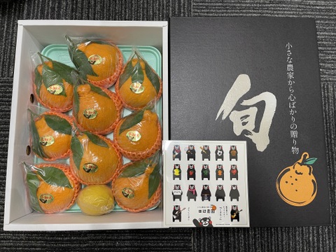 早くも大人気。50ケース限定❗️本場不知火柑発祥の地熊本不知火産葉付き不知火柑(約3K)7〜12玉✖️2箱