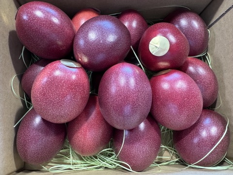 《皇室献上品産地のパッションフルーツご家庭用》奄美大島瀬戸内町産 1.2kg／希少な南国フルーツ