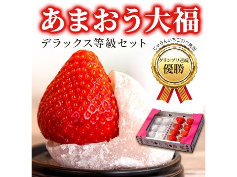 【福袋】【冬ギフト】あまおういちごスタンダード270g×2パック＆あまおう大福セット＆あまおうしみちょこ50ｇ