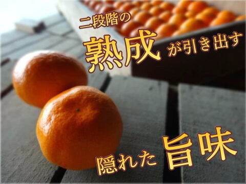 【３箱まとめ買い】めちゃ甘っ！でも見た目かなり難あり！味はピカイチ！ご家庭用！品種ミックス！生産者と消費者をマッチング！ダブル応援みかん　訳あり　サイズ混合　約2kg3箱セット【商品番号3001-3】
