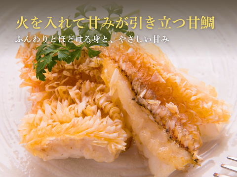 【白身魚の食べ比べ】甘鯛 × レンコダイ セット（合計６kg）