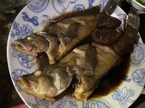 【NHKで紹介！】小豆島の海の恵み。旬のお魚お任せ鮮魚ｽﾀﾝﾀﾞｰﾄﾞセット（10～15匹)