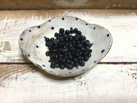 ブルーベリーの原種です。ビルベリー 200g