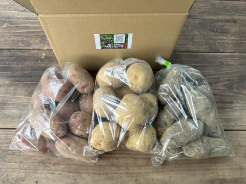 ☆有機JAS認証☆こだわりじゃがいも2種セット(850g×2袋)