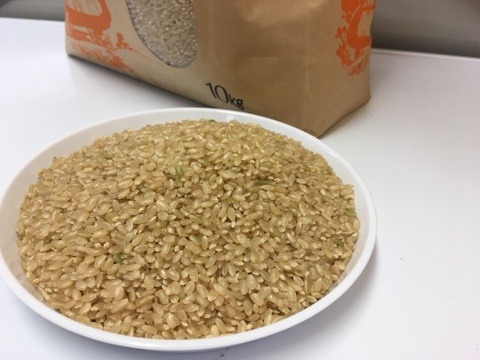 令和２年広島県産コシヒカリ　玄米　10kg