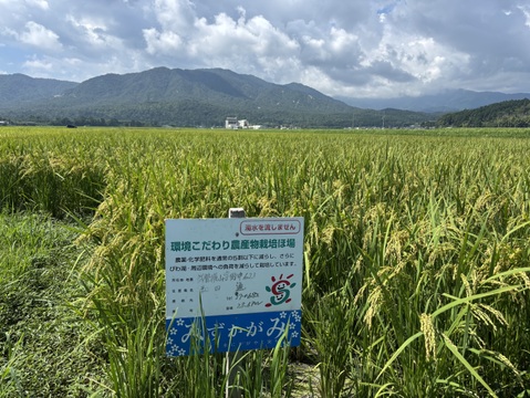 R7滋賀県みずかがみ精米5kg