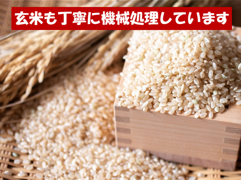 茨城県産　コシヒカリ　産地直送　玄米　30キロ　米　残り5つ 茨城県産 コシヒカリ 産地直送 玄米 30キロ 米 残り5つ