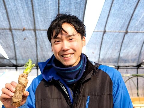 【自然栽培】国産生姜 稀少な三州生姜 500g すりおろしがオススメ