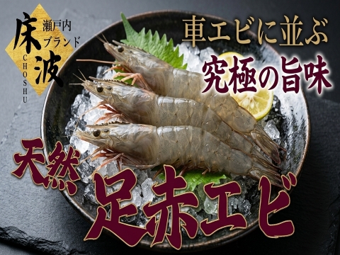 🦐知る人ぞ知る天然の濃厚甘味エビ🦐トロけるしっとり弾力が堪らない幻の希少海老☆天然国産『足赤エビ』約500g長州床波ブランド【9月上旬予約】