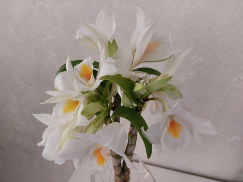 【母の日プチギフト】フォーミディブルのかわいい花束