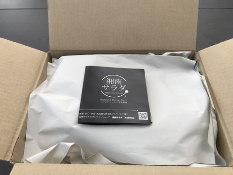 千葉県産　富丸ムーチョ（食べやすいSサイズ）