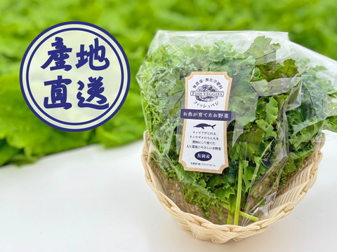 新鮮！採れたて！ミックスケール 40g×2袋　化学肥料/農薬不使用だから安心して食べられる【FISH VEGGIES】