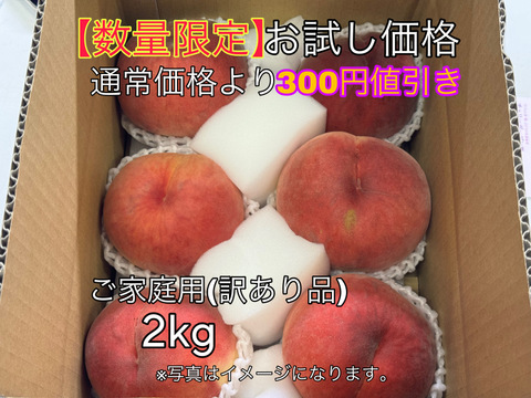 【マーガレット】山梨県産の桃『日川白鵬』訳ありの桃　2箱セットです！ 桃の通販/白鳳を産地直送販売！【山梨の桃】果物産直の山梨ふ
