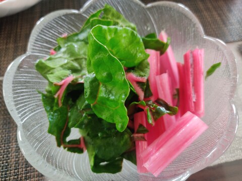 ✨【色彩の宝石箱】農薬・化学肥料不使用で育てた、鮮やかスイスチャード 約700g✨