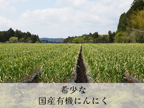 【熊本県産】 有機にんにく王（無選別１㎏入)
