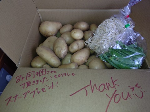 【新じゃが箱込4ｋｇ】じゃがバター最強★掘りたてメークイン　（本州の方限定）