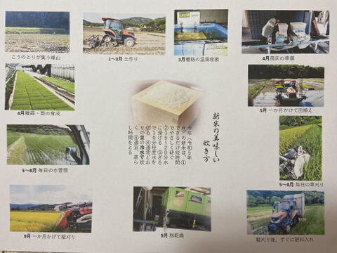 【新米】食べ比べ‼♣️一度食べてみてほしいお米　麻奈為🌾
令和５年度産　京丹後峰山産　特別栽培米コシヒカリ・ミルキークイーン【各玄米3㎏】　(希望者精米無料）