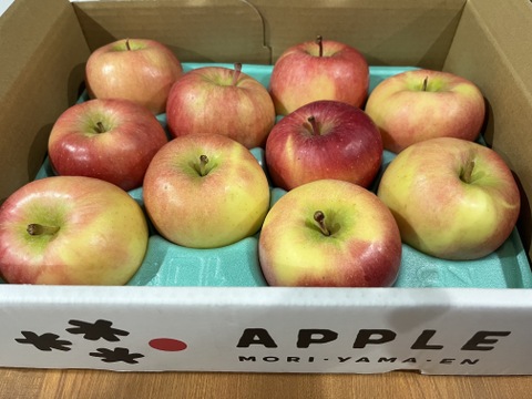 特別栽培りんご】蜜入り🍎こうとく2kg 葉とらずりんご 農薬50%減＋化学