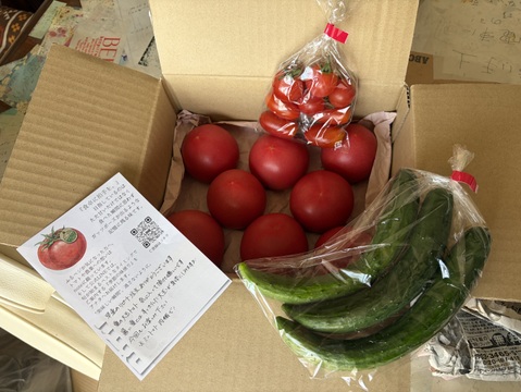 夏は、さっぱり。毎日の料理にたっぷり】赤熟もぎりの大玉『豊潤とまと
