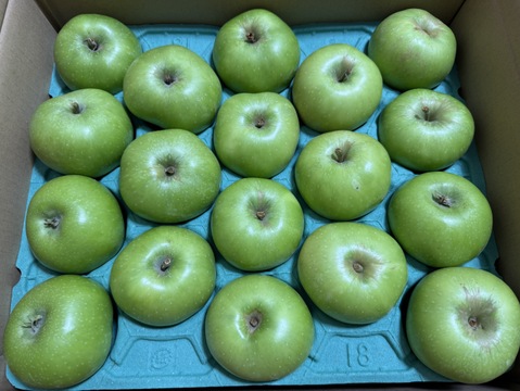 小玉になります「ブラムリー」加工用 　5キロ箱　約20個～23個