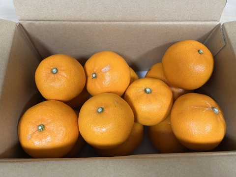 濃厚完熟みかん【せとか】3ｋｇ