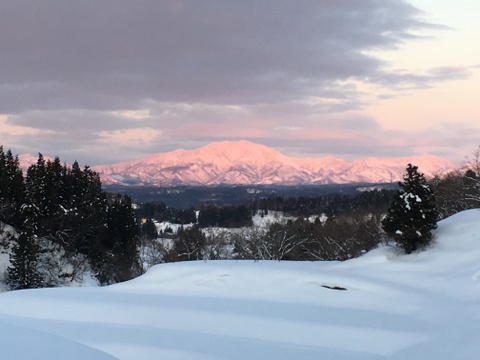 お買い得「極上大正餅」切り餅　460ｇ×10袋