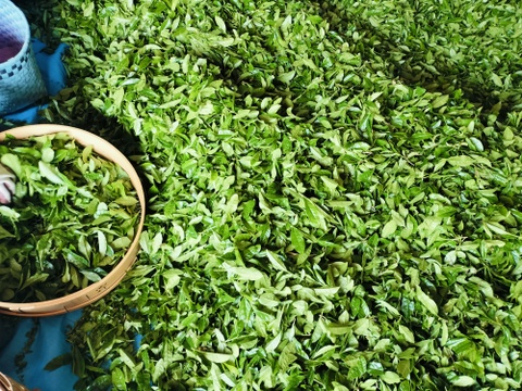 ほっと一息。そらのお茶（200g）