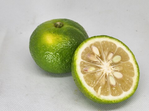 箱込約1㌔　激レア果実を出品　直七　幻の柑橘