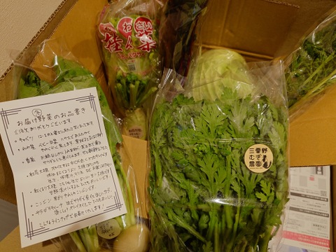 【定期便】旬の野菜セット(冬の鍋野菜・イタリア野菜)箱込み2kg