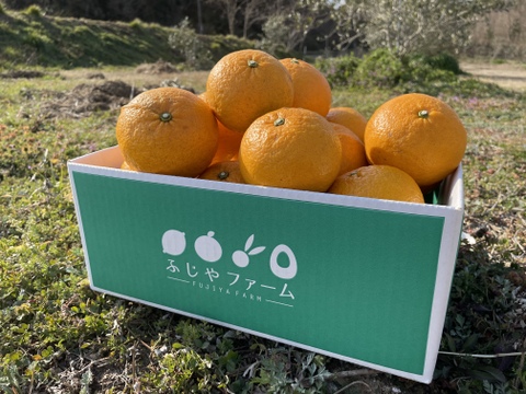 【有機JAS認証!】オーガニック紅甘夏 8kg 初夏の香りと爽やかな酸味とほろ苦さ。大崎上島産(ノーワックス、防腐剤不使用、化学肥料不使用)