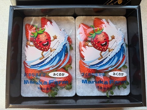 甘さ爆発！The Berry(みくのか）　250ｇ×２ｐ