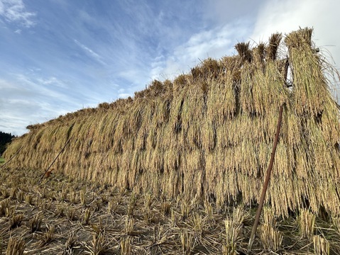 [新米]天日干しJAS認定オーガニック・有機栽培米　新潟県南魚沼産コシヒカリ
３kg[令和7年産]八海山の里で実りました。