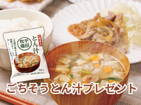 使いたい分だけ使える！平田牧場三元豚切落し120g×10P＋金華豚切出し500gセット（ごちそう豚汁付）（NO.62）[冷凍発送]