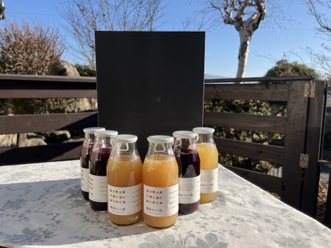 【福袋】【冬ギフト】ワイン用ぶどうで作ったジュース　4品種各1本+おまかせ品種2本　飲み比べセット180ml✖️6本【熨斗対応可】