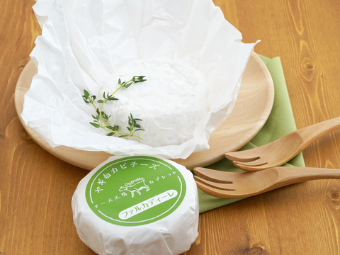 【信州産】やぎさんのミルクで作る白カビチーズ（ファルカディーレ）