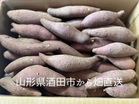 甘党さん集まれ〜！！さつまいも 紅はるか【 オヤツにピッタリSSサイズ 】５kg！山形県酒田市産 【無くなり次第終了】