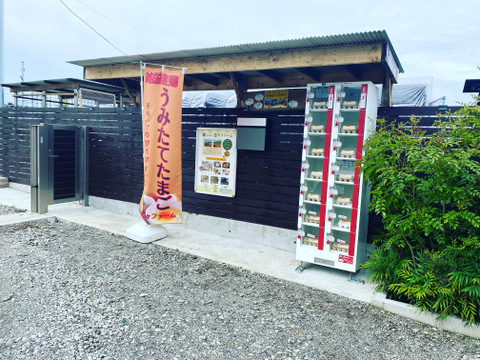 おまとめ🉐パック　あずさ150個