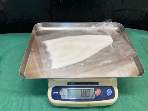 【謹製】ケンサキイカ/白イカ剥き身/胴体のみ/極みシリーズ/150~200g/原体500～600g【冷凍】