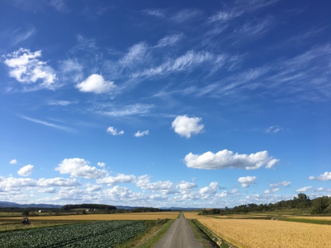 令和７年産 北海道 ななつぼし 【精米５kg】 わっさむのおこめ