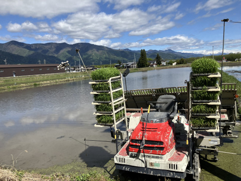 【令和７年産】栽培期間中農薬不使用　コシヒカリ　玄米　５kg