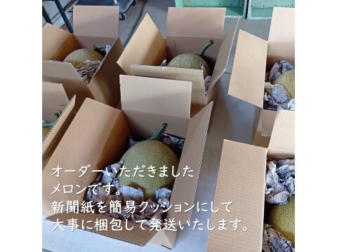 予約！白肉のあまーい高糖度ネットメロン　ムーンライト 2.5kg1玉