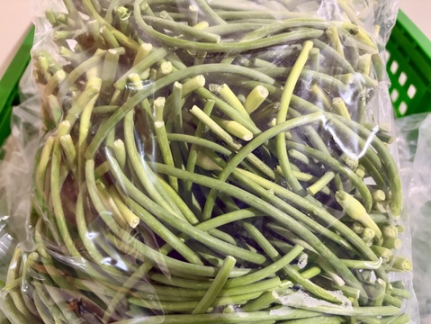 【訳あり品:半額】国産希少！くわはら農園の8片(嘉定種)にんにくの芽　1kg　農薬・化学肥料不使用