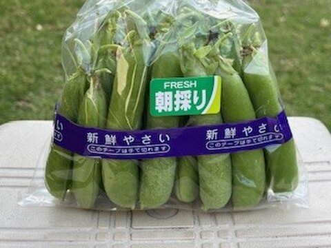 今が旬のグリンピース