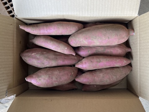 しっとり甘い！｢あまはづき｣ 箱込み約9.8kg(土付き)