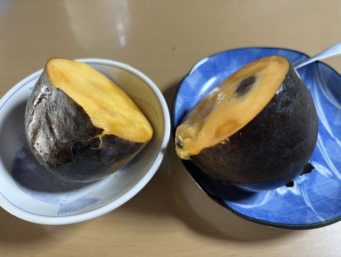 幻の果実✨ポポー❗️約750g【2〜6個】最高の美肌食材❗️