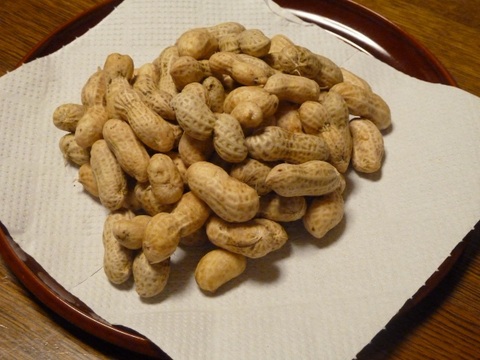 【期間限定】掘り立て 生落花生２５０g　５００円