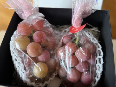 【幻の牧丘天空クイーンニーナ】わずか0.2%しか収穫されない超希少高級品種☆お試し約1kg2～3房【朝どれぶどう】【ギフト・家庭用にも】🍇2026年10月上旬🍇